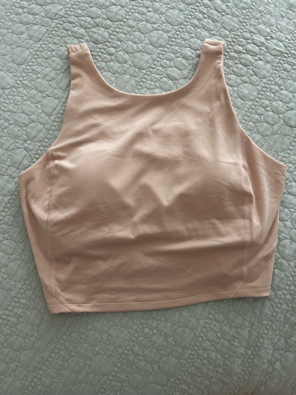 Crane Ballet Pink Crop work out sports bra
